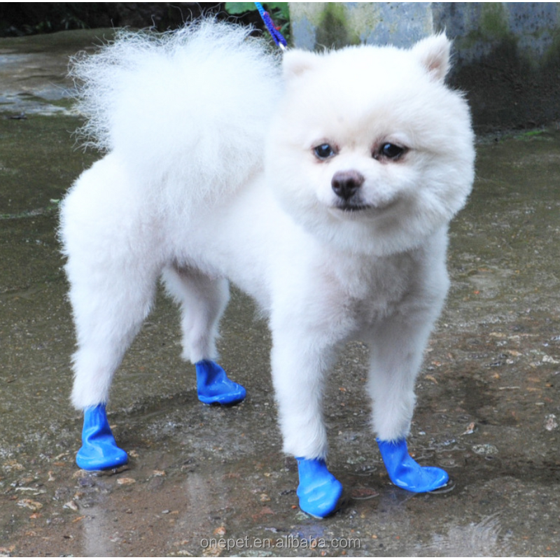 Pet Paw Protect Shoes Manufacturer - Disposable Rain Boots