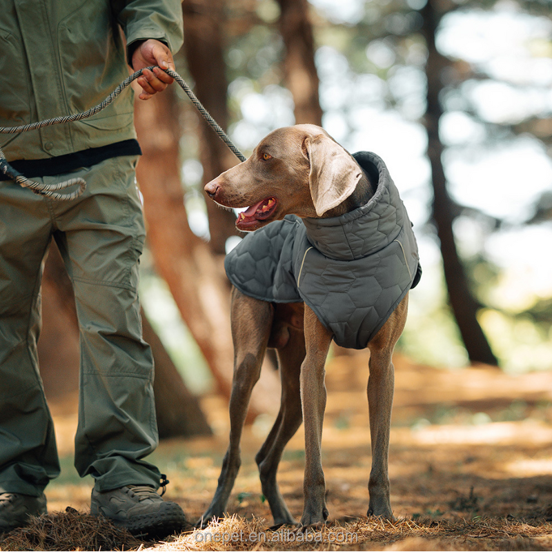 Dog Coat Manufacturer - Waterproof Winter Jacket