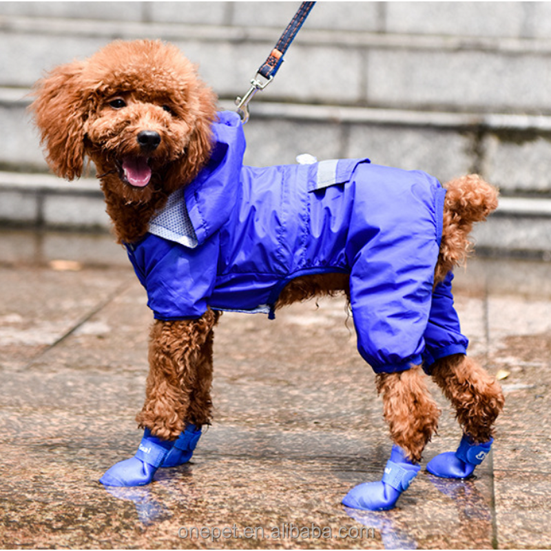 Pet Rain Boots Manufacturer - Silicone Waterproof Boots