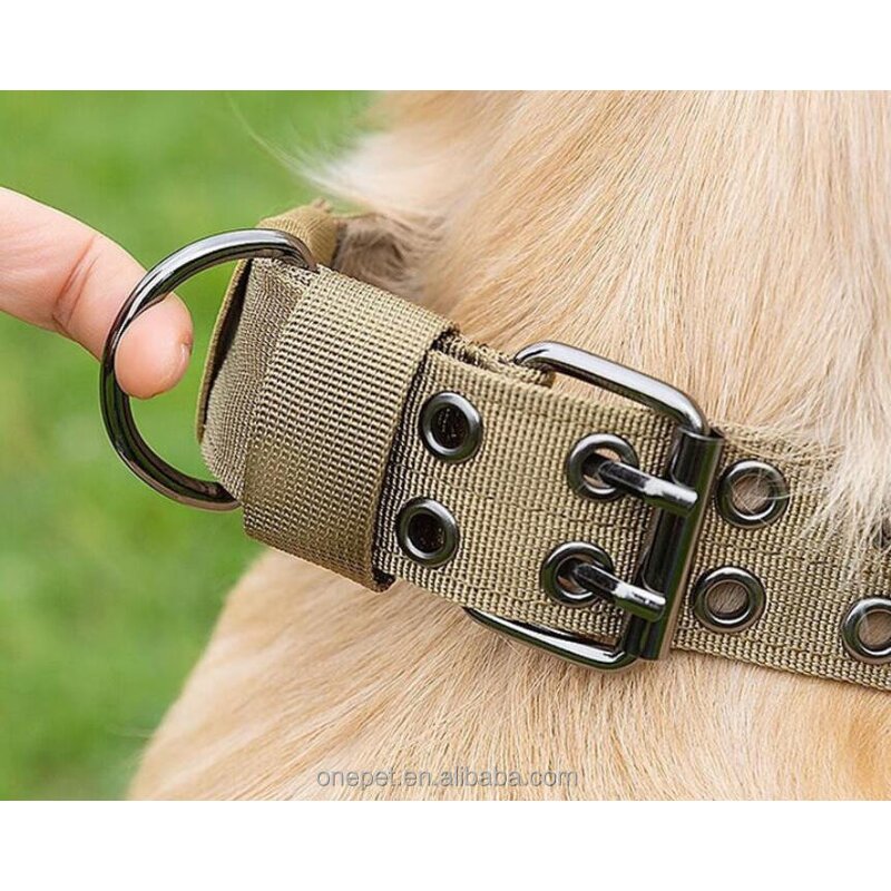 Dog Training Collar Manufacturer - Tactical Nylon Set