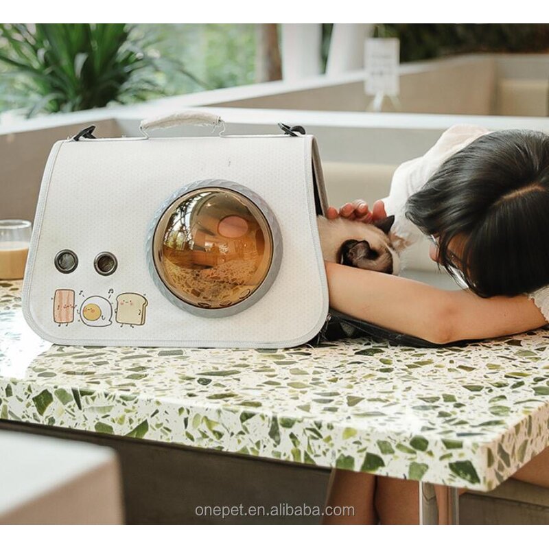 Pet Backpack Manufacturer - Space Capsule Design