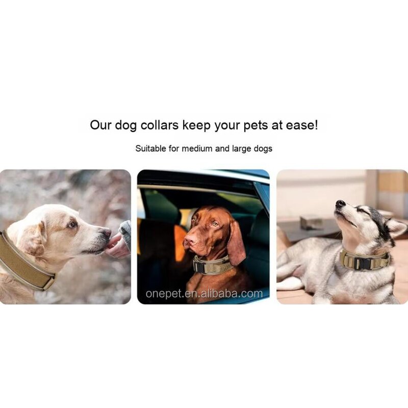 Dog Collar Manufacturer - Tactical Reflective Nylon