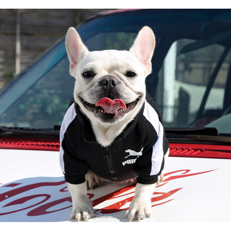 Pet Sweatshirt Manufacturer - Solid Blank Zipper