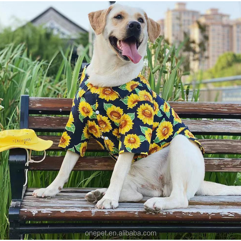 Pet Clothes Manufacturer - Fashionable Printing Shirt