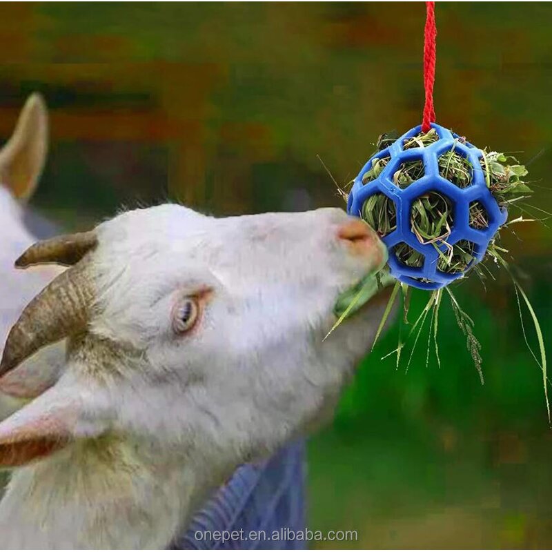 Pet Feeder Manufacturer - Hanging Treat Ball Toy