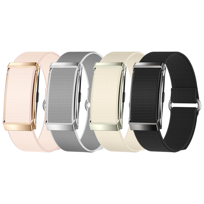 DS10 Smart Health Bracelet Manufacturer - Zinc Alloy Body