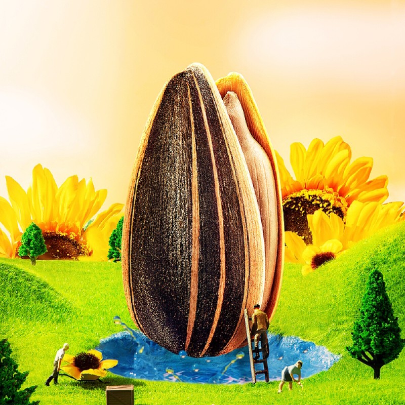 Marinated Scallop Manufacturer - Top Selling Ready to Eat Healthy