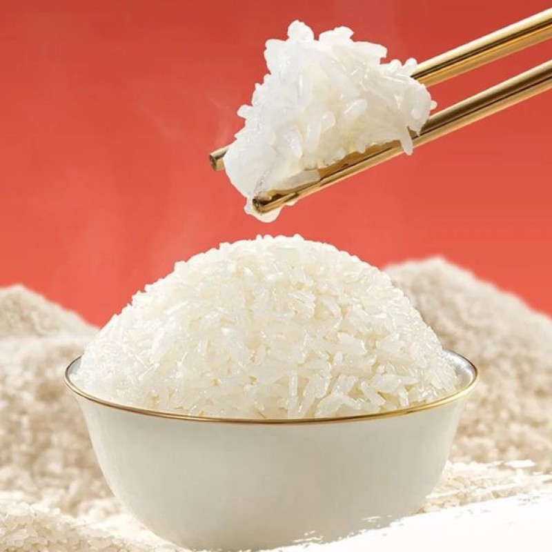 Cup Noodles Factory - Authentic Asian Restaurants Traditional