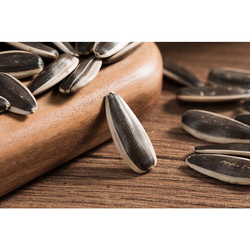 Lobster Salad Manufacturer - Competitive Price Wholesale Purchase