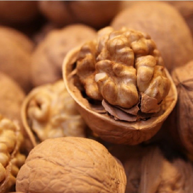 Soybean Paper Manufacturer - Different Colors Mamenori Wrapper