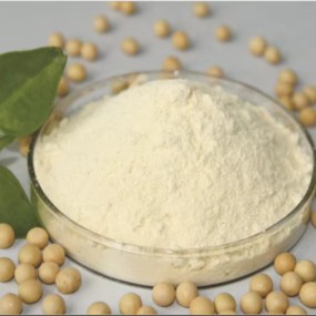 In Shell Walnuts Manufacturer - Bulk Kernels Daily Nutritional