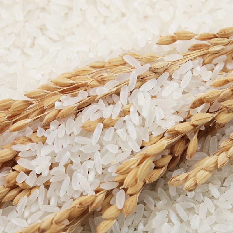 Microwaveable Noodles Manufacturer - Wholesale Export Retail Chains