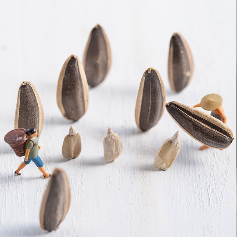 Fresh Octopus Manufacturer - Hot Selling Barbecue Tentacles Arms