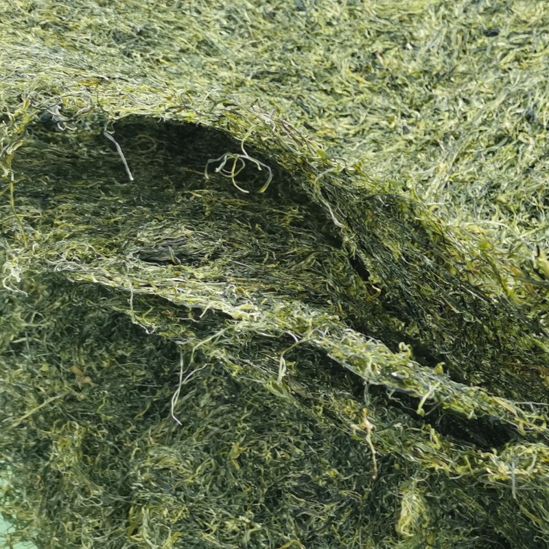 Colored Soybean Wrap Factory - Tofu Skin Bean Curd Food Service