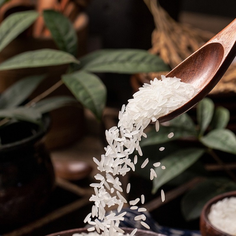 Character Noodles Manufacturer - OEM Cartoon Packaging Promotion