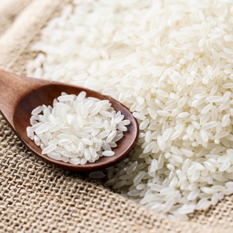 Pack Noodles Factory - Export Grade Overseas Distribution