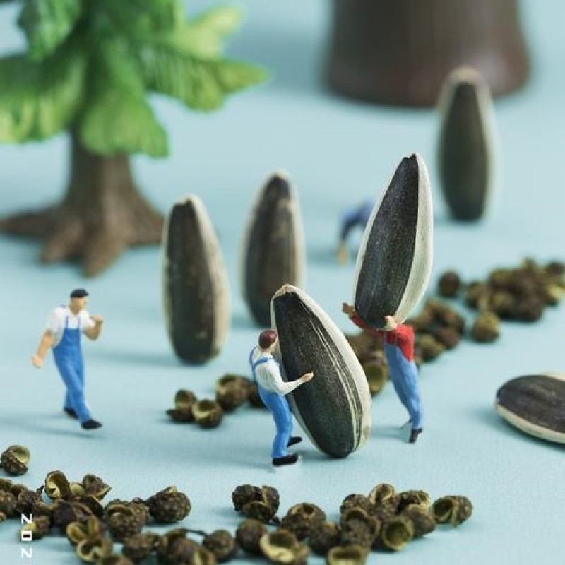 Big Octopus Factory - OEM&ODM Premium Grilled Skewers Legs