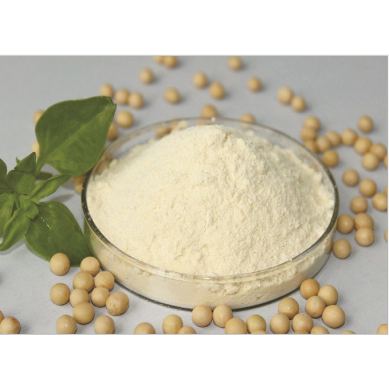 Wakame Seaweed Manufacturer - Natural Dried Hijiki Asian Soup Salad