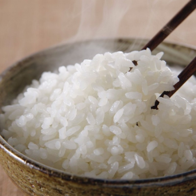 Ramen Noodles Factory - Premium Ready to Eat Food Service