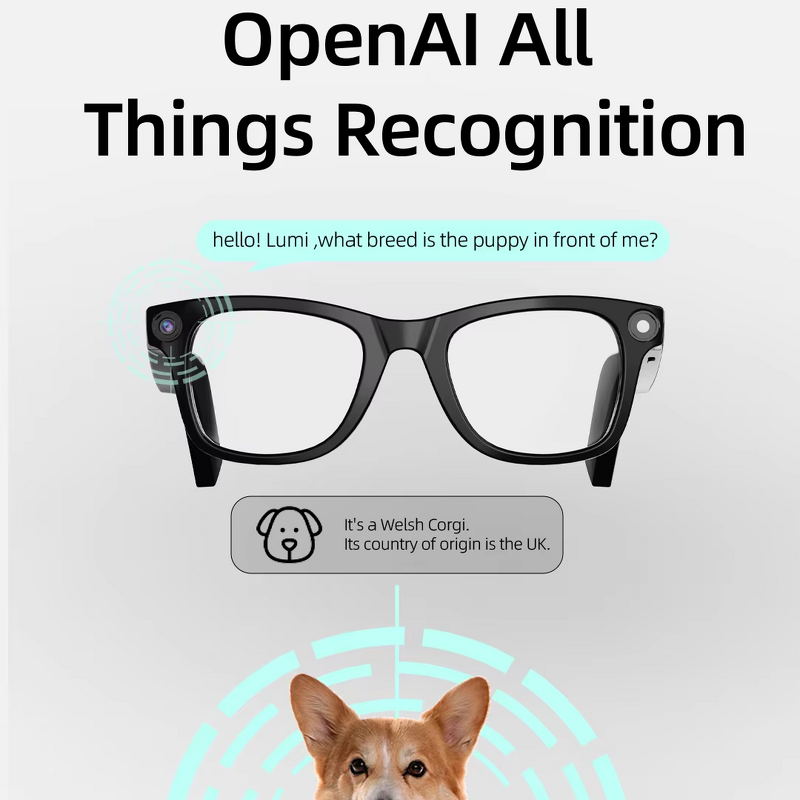 Smart Glasses Supplier - 8MP Video Camera Bar Design Eyewear