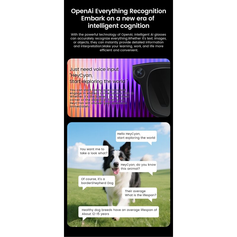 Smart Glasses Manufacturer - M02 Smart Glasses AI Translation 8MP