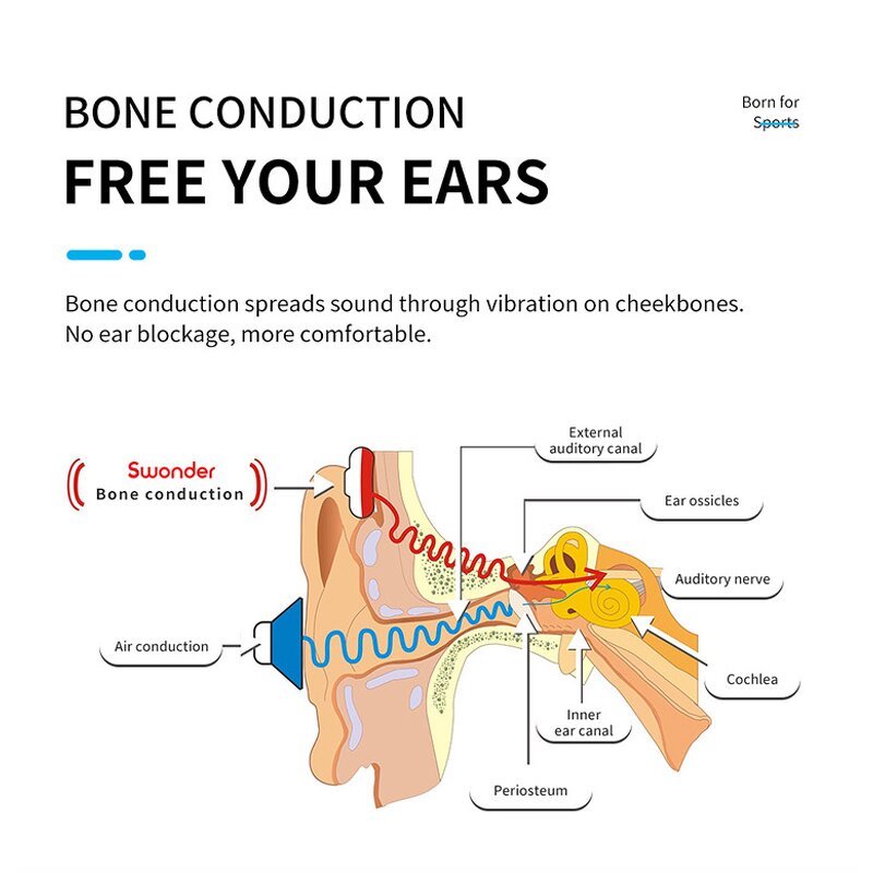 Competitive Swimming Headphone Manufacturer - Underwater Audio Bone Conduction