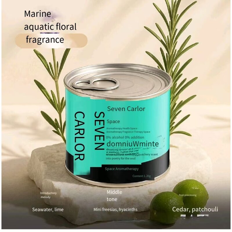 Car Aroma Diffuser Manufacturer - Creative Solid Fragrance