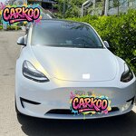 Car color-changing car cover