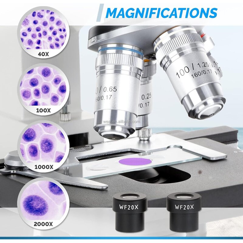 Microscope Manufacturer - LED Microscopio De Laboratorio 1600X Kids