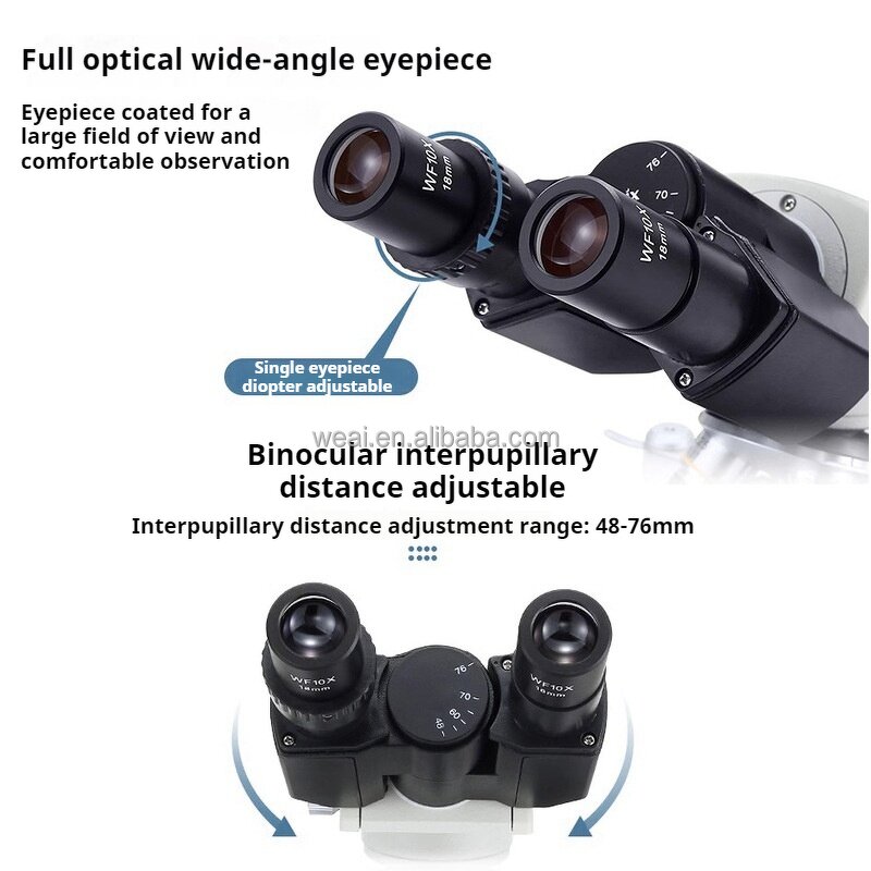 Microscope Manufacturer - 7" HD Screen Digital Trinocular 1600x LED