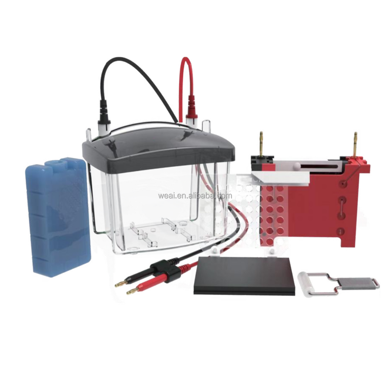 Gel Electrophoresis Device Manufacturer - Horizontal Nucleic Acid DNA RNA