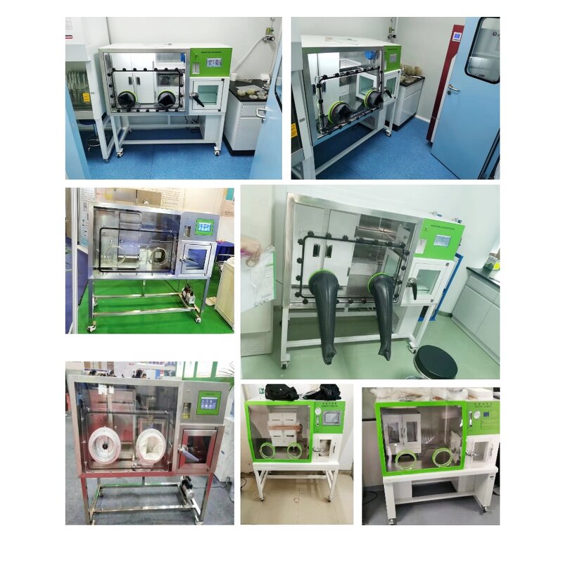Incubator Manufacturer - Anaerobic Workstation LAI-D2 CO2 Vacuum Glove Box