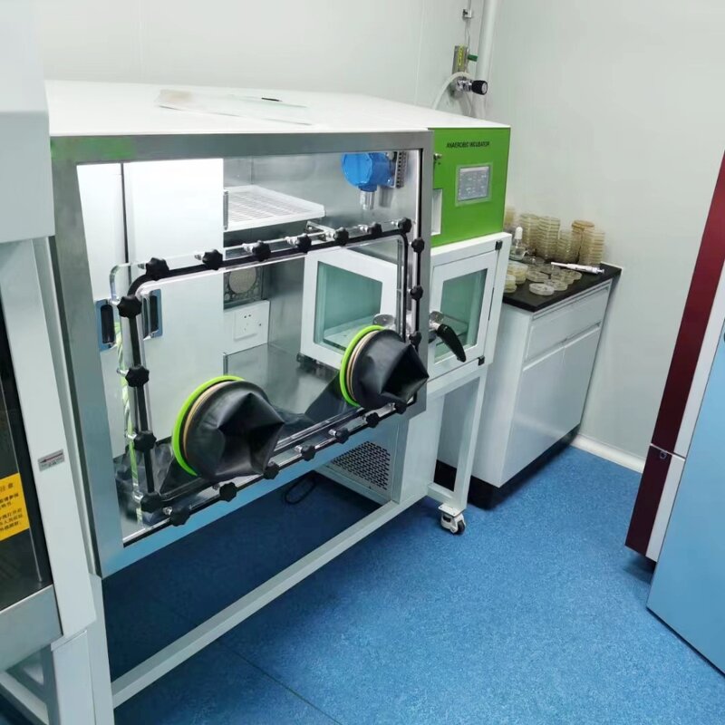 Incubator Manufacturer - Anaerobic Workstation LAI-D2 CO2 Vacuum Glove Box