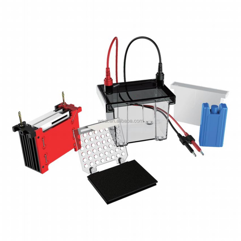 Gel Electrophoresis Device Manufacturer - Horizontal Nucleic Acid DNA RNA