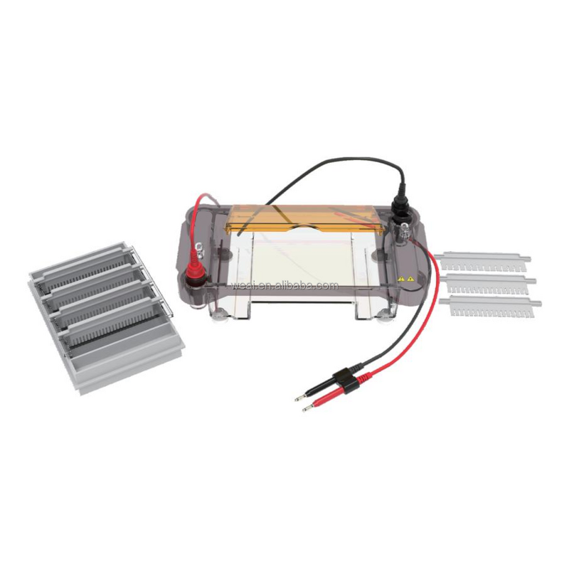 Gel Electrophoresis Device Manufacturer - Horizontal Nucleic Acid DNA RNA