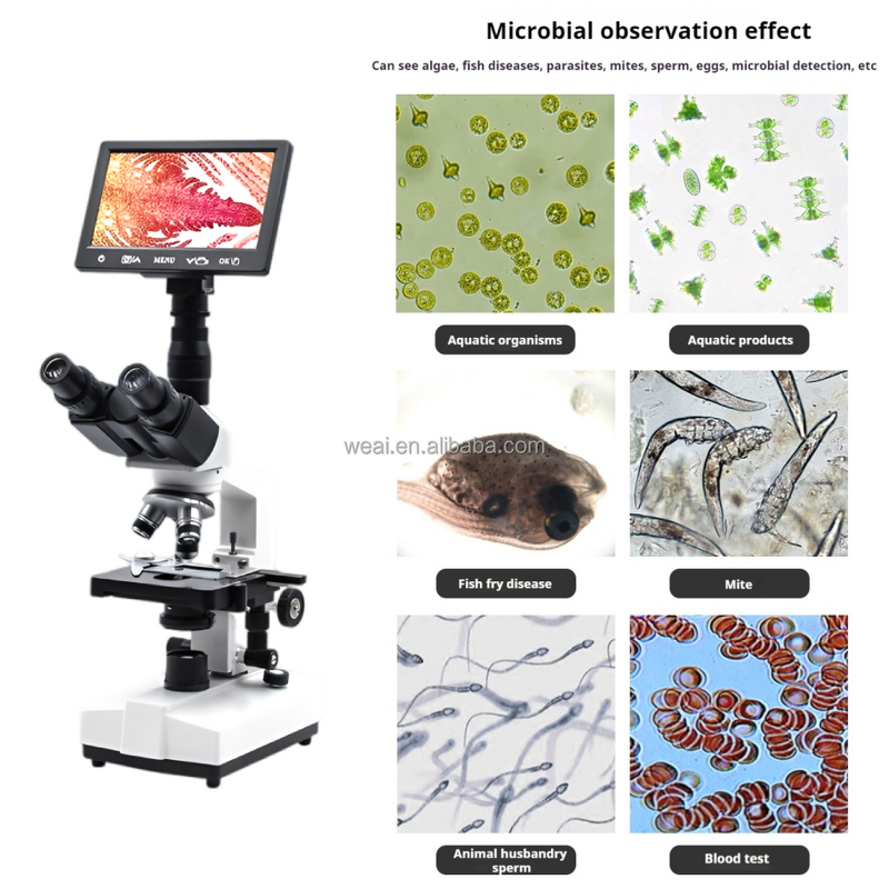 Microscope Manufacturer - 7" HD Screen Digital Trinocular 1600x LED