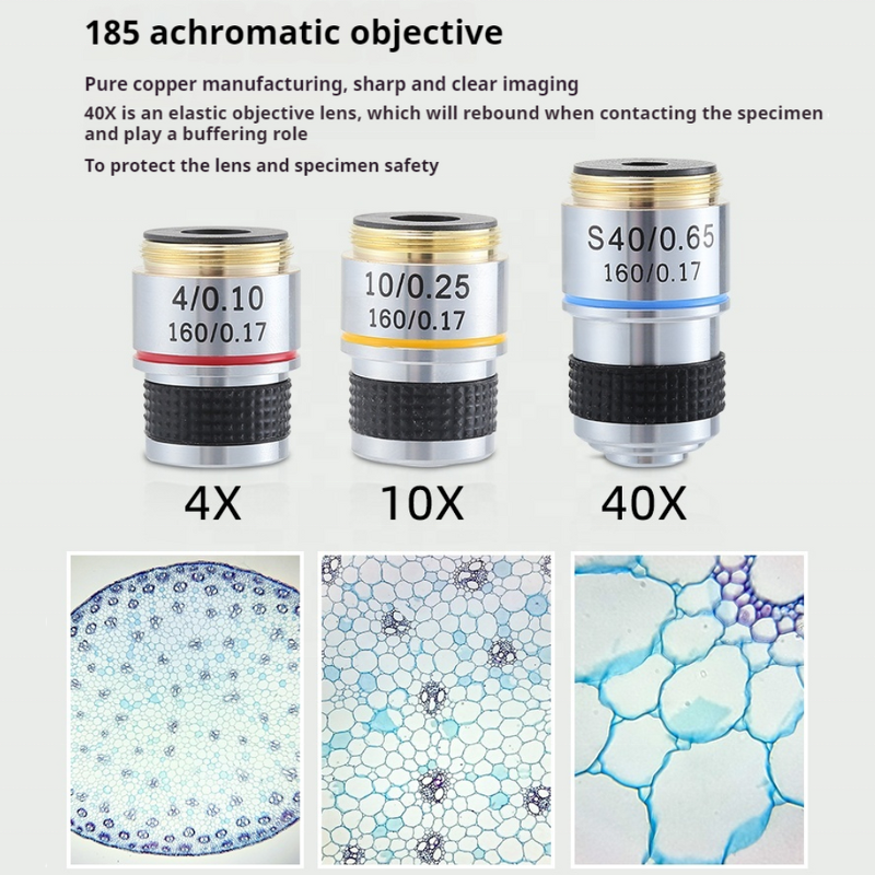 Microscope Manufacturer - HD Screen LED Light Digital Biological Students