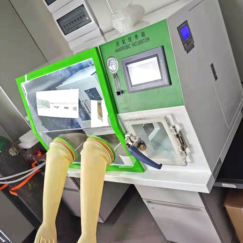 Incubator Manufacturer - LCD Stainless Steel Glovebox Lab Petri Dishes