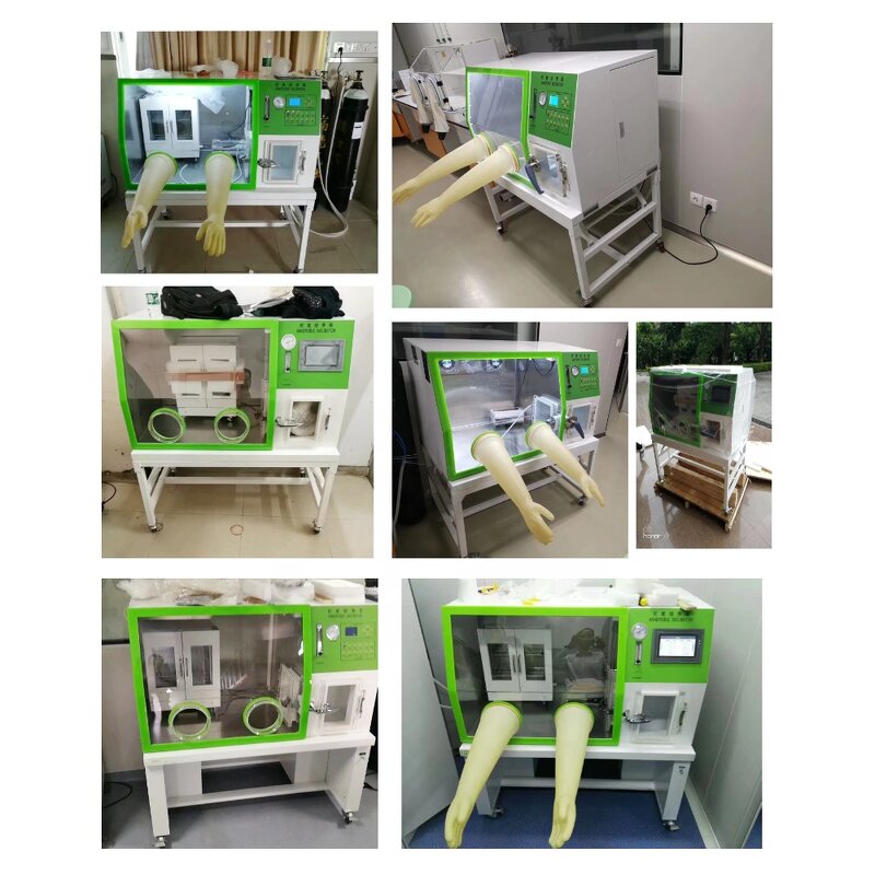 Incubator Manufacturer - LCD Stainless Steel Glovebox Lab Petri Dishes