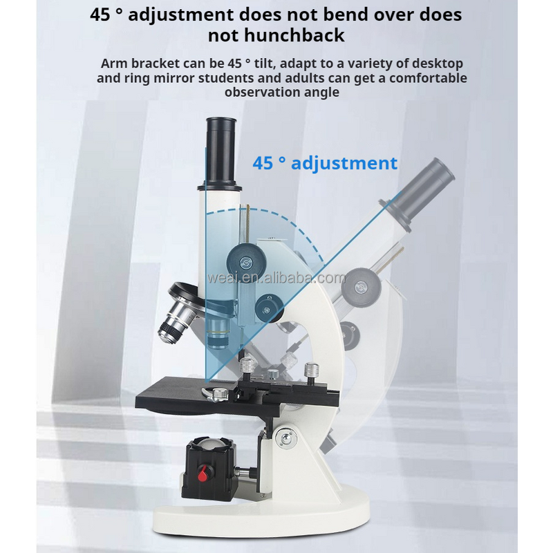 Microscope Manufacturer - LED Microscopio De Laboratorio 1600X Kids