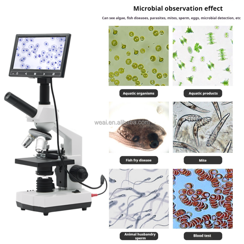 Microscope Manufacturer - HD Screen Photo Video Digital 1600X Cell Bacteria