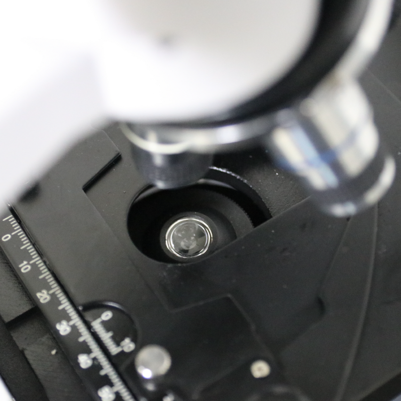 Microscope Manufacturer - 1600x LED Magnifier School Dental Electronic