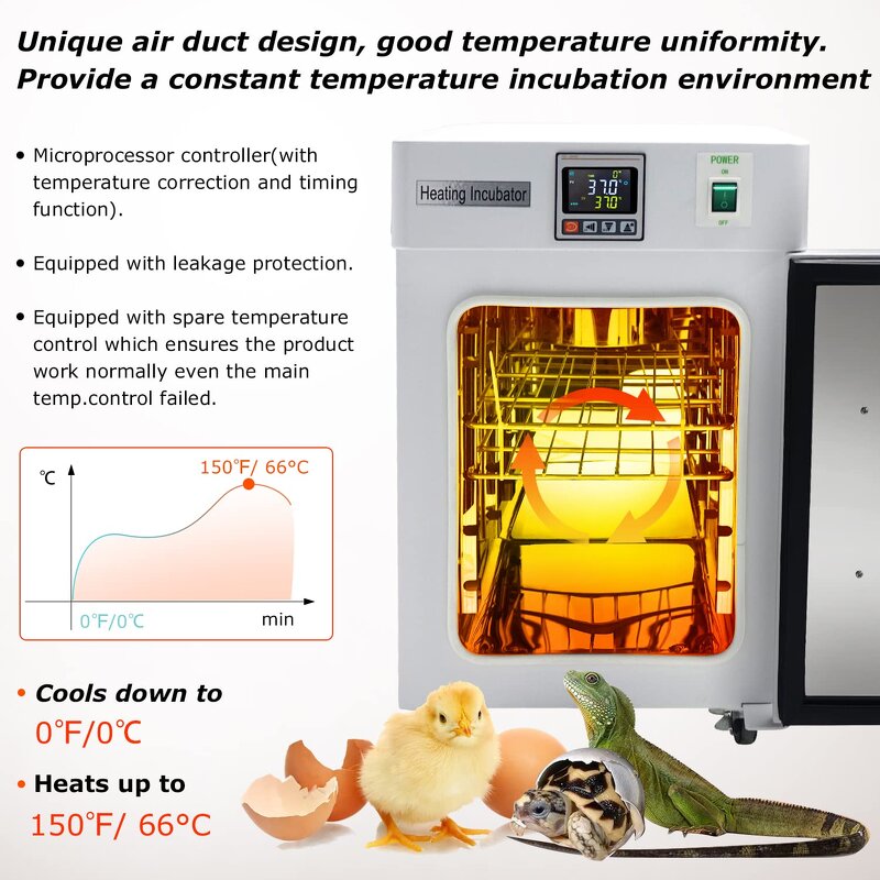 Incubator Manufacturer - Lab 18L-50L Egg Reptile Medical Drying Oven