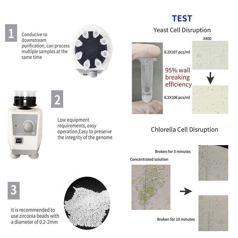 Vortex Mixer Manufacturer - MX-C 0-2500rpm Portable PCR Yeast Bacteria