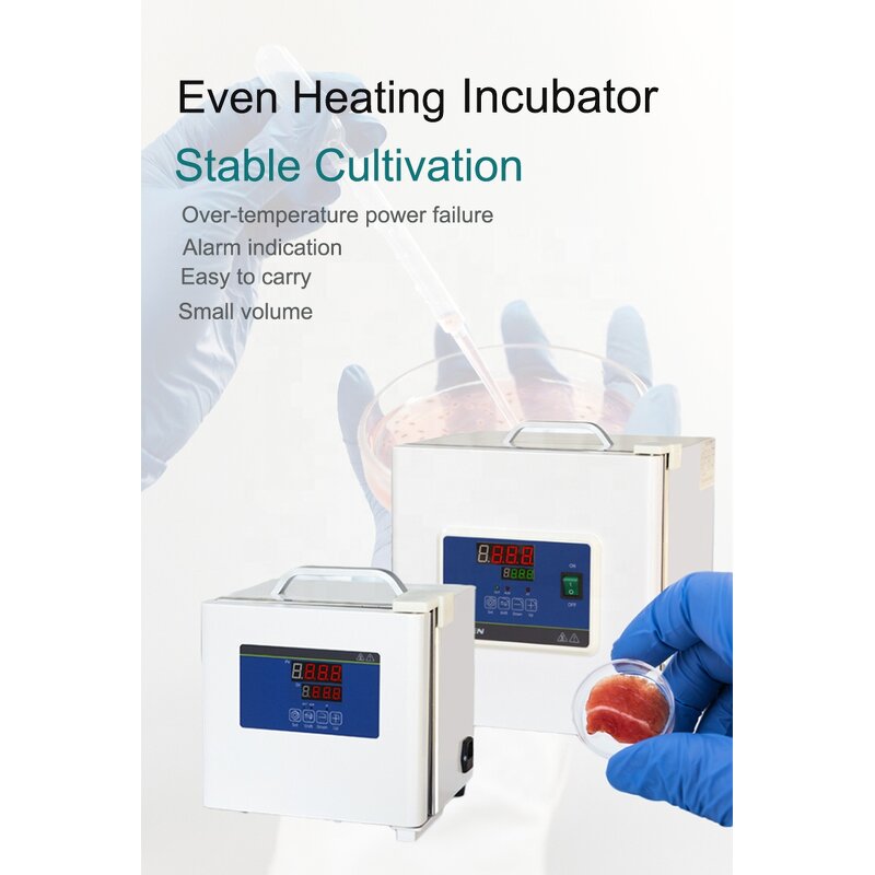 Incubator Manufacturer - Laboratory Thermostatic Devices 7.4L Portable Mini