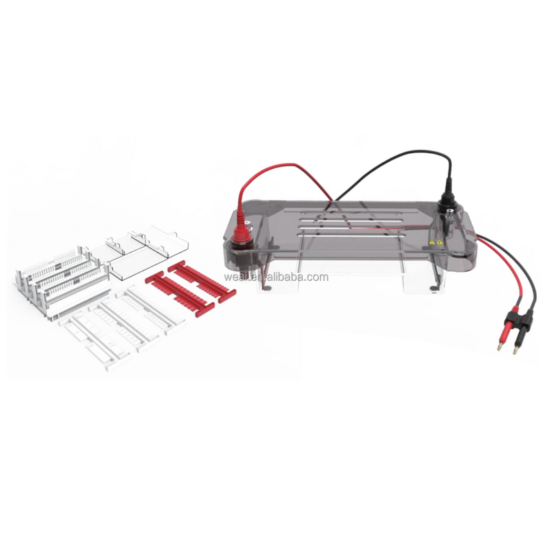 Gel Electrophoresis Device Manufacturer - Horizontal Nucleic Acid DNA RNA