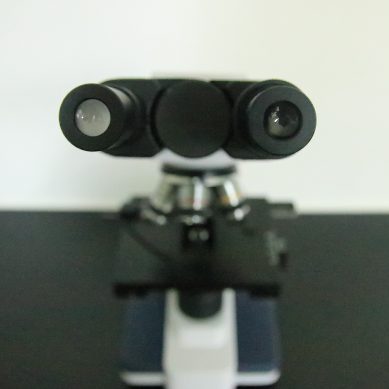 Microscope Manufacturer - 1600x LED Magnifier School Dental Electronic