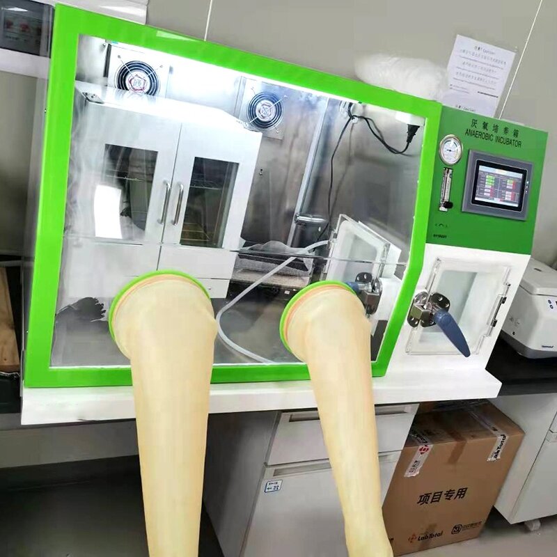 Incubator Manufacturer - LCD Stainless Steel Glovebox Lab Petri Dishes