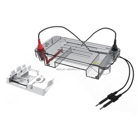 Gel Electrophoresis Device Manufacturer - Horizontal Nucleic Acid DNA RNA