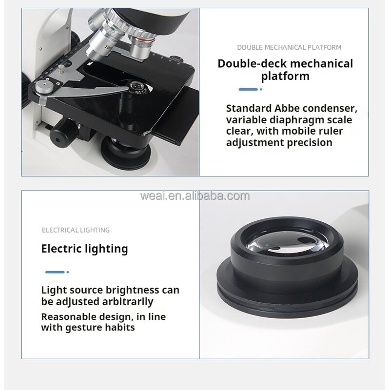 Microscope Manufacturer - Microscopio Dental 1000X-1600X with LCD Screen